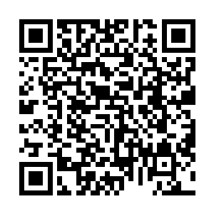 但是想着去找龙战就能看着龙天所以一直都咬着牙坚持着二维码生成