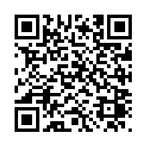 但是我不会因为你而放弃自己的一切二维码生成