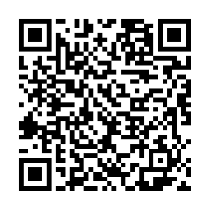 但是我们英灵学府内的精英弟子里面也有好几个比你强二维码生成