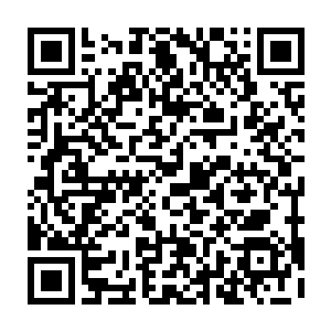 但是我希望我的弟弟能够娶一个各方面都完美无瑕的女孩子给我当弟媳妇二维码生成