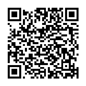 但是我看出来的却是这个小子的战斗招数跟杨奎越来越像二维码生成