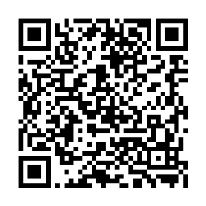 但是我看到了湖州市政府和人民抗洪救灾的热情二维码生成