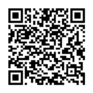 但是我真正不明白的是……你以不灭境八重天巅峰的修为二维码生成