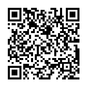 但是战斗力指数却要比其他家族的太上长老指数高很多二维码生成