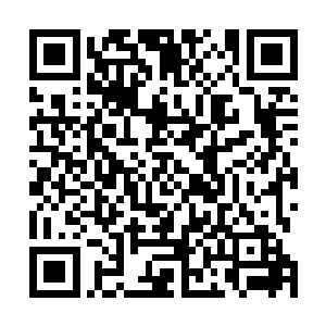 但是把肉和菜一起炖或者把肉切成细丝炒的吃法是头一次二维码生成