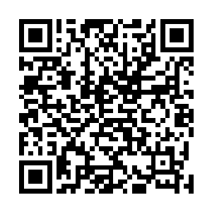 但是掌握了五十以内数字的众人兴致勃勃的开始练习起来二维码生成