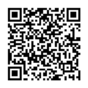 但是放到这个和平年代依然能代表许多人的心声就不对了二维码生成