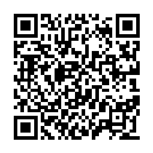 但是整个人却宛如风雨飘摇中的一叶断缆的孤舟二维码生成