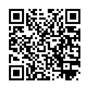 但是整个周围却看不到任何的蚊虫二维码生成