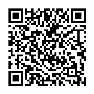 但是整个周天圣城在大的格局之上并没有什么太大的变化二维码生成