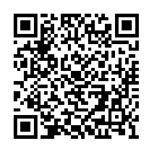 但是整个部落的人都希望能在雪天之前盖好房子二维码生成