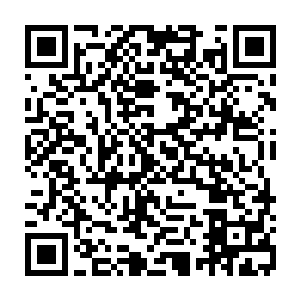 但是智商上的脱俗让它觉得和一群只知道吃的胖兔子们相处实在是太孤独了二维码生成