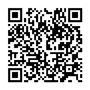 但是曲承泽总有一种自己的队长被人抢走的感觉二维码生成