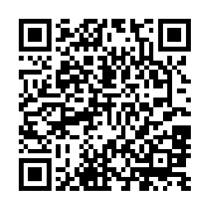 但是最后苏凡发现这岛的四周全是汪洋大海连岸边都看不到二维码生成