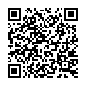 但是有几个人发起了冲锋后却迅速被全部击倒在地二维码生成