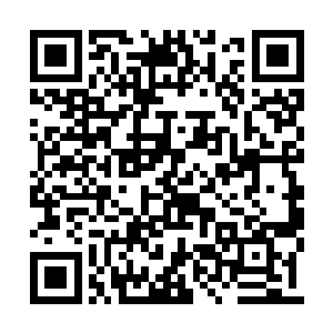 但是服用之后为进阶打下绝对的基础是没问题的二维码生成