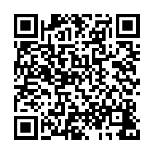 但是杀伤力非常强悍的冰虫接二连三地冲了出来二维码生成