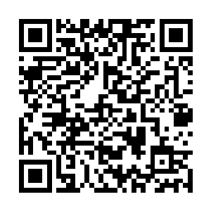 但是李象这个孩子从来都没有当着自己的面提及过二维码生成