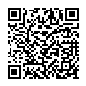 但是李阿文朝这个湖面看下去却什么都没有发现二维码生成