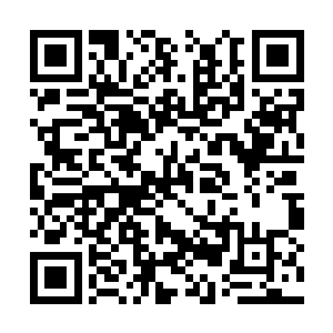 但是架不住智商中强大的信息储备和逻辑思维能力二维码生成