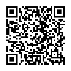 但是此刻的刘小嫣却是早已将林辰当做了自己三人的依靠二维码生成