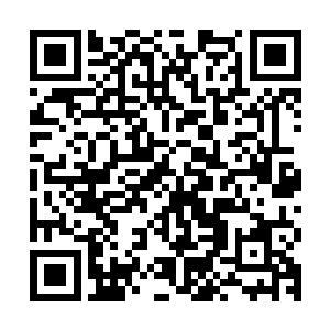 但是此刻的这个头颅却是在这样的阴气极重之地依旧保存的完整二维码生成