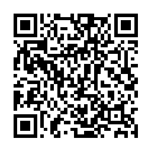 但是此刻赵长枪手中的断指就是彻底的段成了两截二维码生成