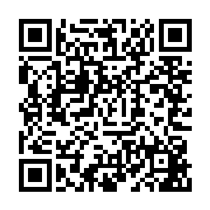 但是此时这些天道竟然都以各种颜色显现了出来二维码生成