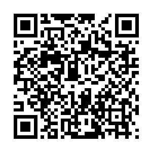 但是每一次见面都是见到她跟在叶然身边学习……二维码生成