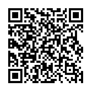 但是没曾想人家直接的一巴掌直接的就给自己拍在了地上面二维码生成