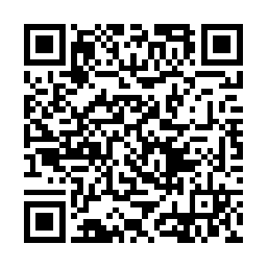 但是海洋馆的建立却能够吸引到全国各地更多的客源二维码生成