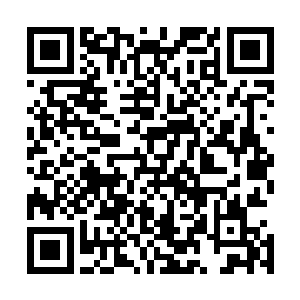 但是灵气修为在五行合纵之术的强化下却能够打到数丈之远二维码生成
