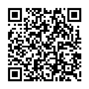 但是现在要紧的是将你这手臂内的虫子给弄出来二维码生成