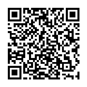 但是甄妮只用了一句话就把陆为民给乖乖的拉了回来二维码生成