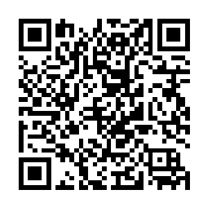 但是由五星境界对付一介目前连力量都没有的预备念动二维码生成