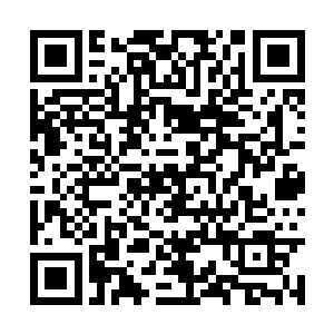 但是留下的痕迹却向所有人展示着那场战斗的惨烈二维码生成