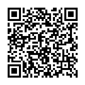 但是相对于一滴玄黄圣液来说显然是有些微不足道了二维码生成