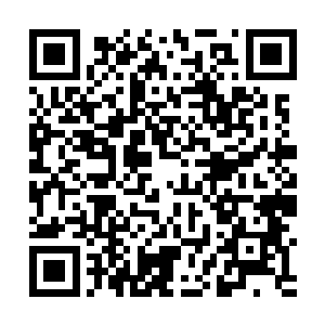 但是看到他那些兄弟难掩的嫉恨神色和他爹眼中的满意二维码生成