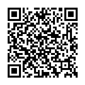 但是看到对方嫣红如火的脸颊和情意绵绵的眼神二维码生成