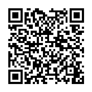 但是看到活生生的一个人就以这般方式从眼前消失二维码生成