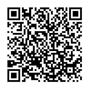 但是看着碟子里的俩包子……花久久却要哭了……她要吃不下了喂二维码生成