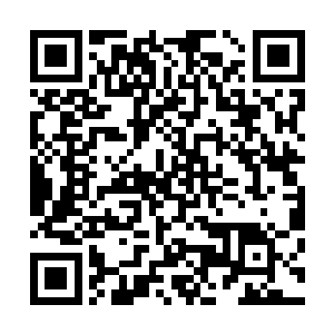 但是看着这些同学有意无意的都悄悄的朝我这边靠近了过来二维码生成