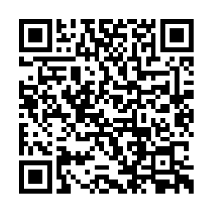 但是眼前的这个许紫烟却是绝对恐怖的一个存在二维码生成