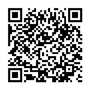 但是睿儿下一刻说的话却是让苏嫣的笑意硬生生噎住了二维码生成