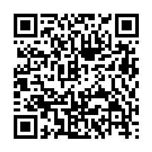 但是睿哲界主正好属于界主里最顶尖的那一小部分二维码生成