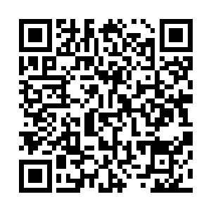 但是碍着和东南区域的矛盾没有人愿意前来购买死而复生丹二维码生成