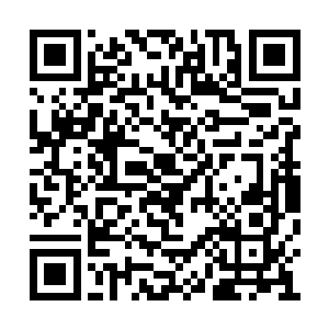 但是离卢向东当初勾画的蓝图还有很长的路要走二维码生成