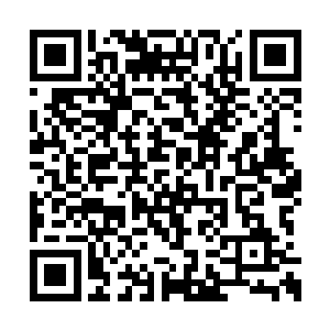 但是站在面前的那个罗文并没有随之一块儿消失二维码生成