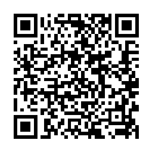 但是竞标规则和条件基本上都是阜头方面制定出来的二维码生成