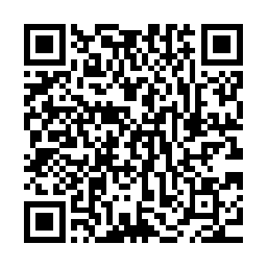 但是等到知道自己的亲生孩子下落不明的时候她才真的心痛欲绝二维码生成
